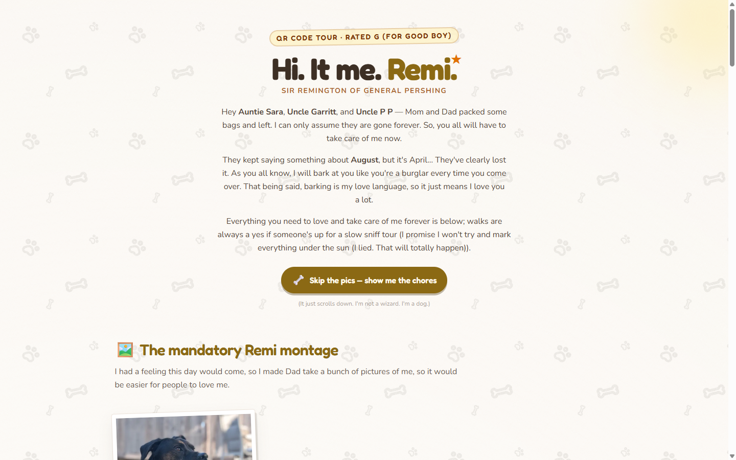 Remi care guide homepage preview